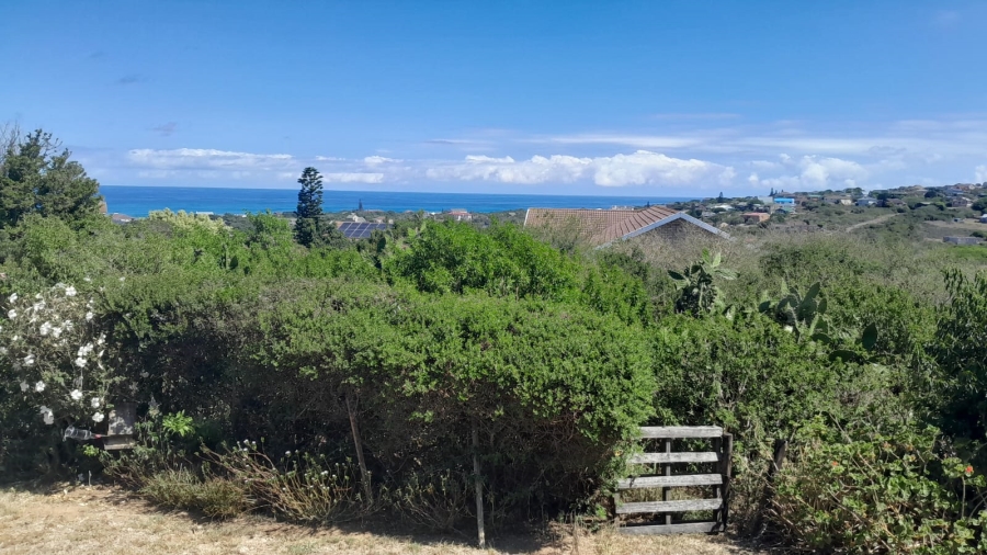 0 Bedroom Property for Sale in Forest Downs Eastern Cape